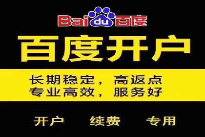 行业标杆：SEM托管公司案例解析